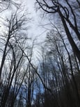 IMG_1044